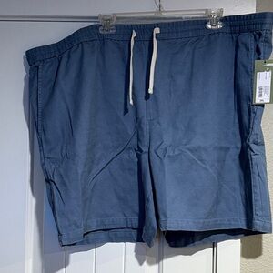 Blue Drawstring Shorts